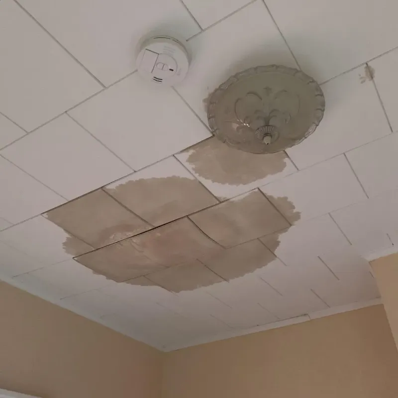 Ceiling Water Damage Repair in Parkers Prairie, MN