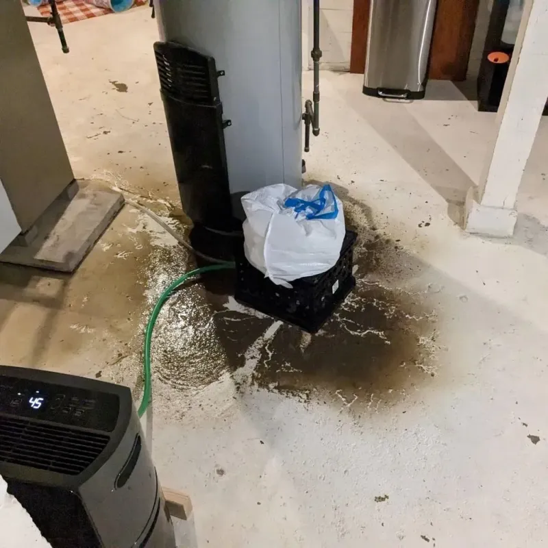 Sewage Backup Cleanup Service in Parkers Prairie, MN